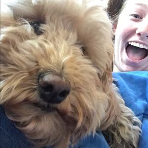 Meet your Posher, Avery